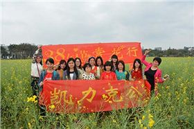 凱力克橋頭賞花 凱力克橋頭賞花