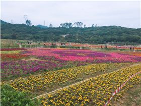 清溪大王山 清溪大王山