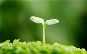 823314306979066853.jpg 823314306979066853.jpg