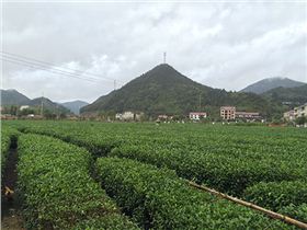 IMG_4978.jpg IMG_4978.jpg