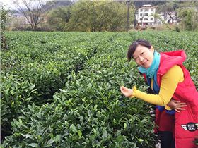 IMG_4981.jpg IMG_4981.jpg