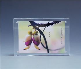 亞克力夾畫(huà) 亞克力夾畫(huà)