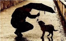 6dc0fae793384d7281fa42390063a026.jpeg 6dc0fae793384d7281fa42390063a026.jpeg