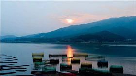 timg (3).jpg timg (3).jpg