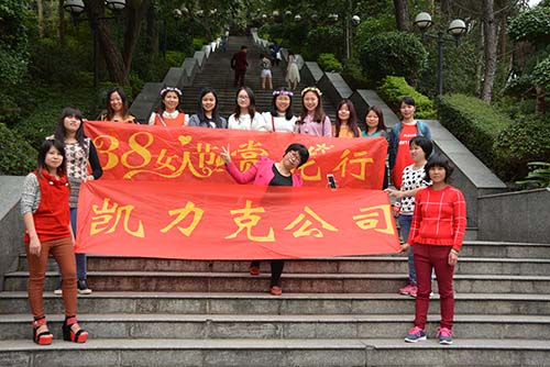 凱力克公司 凱力克公司