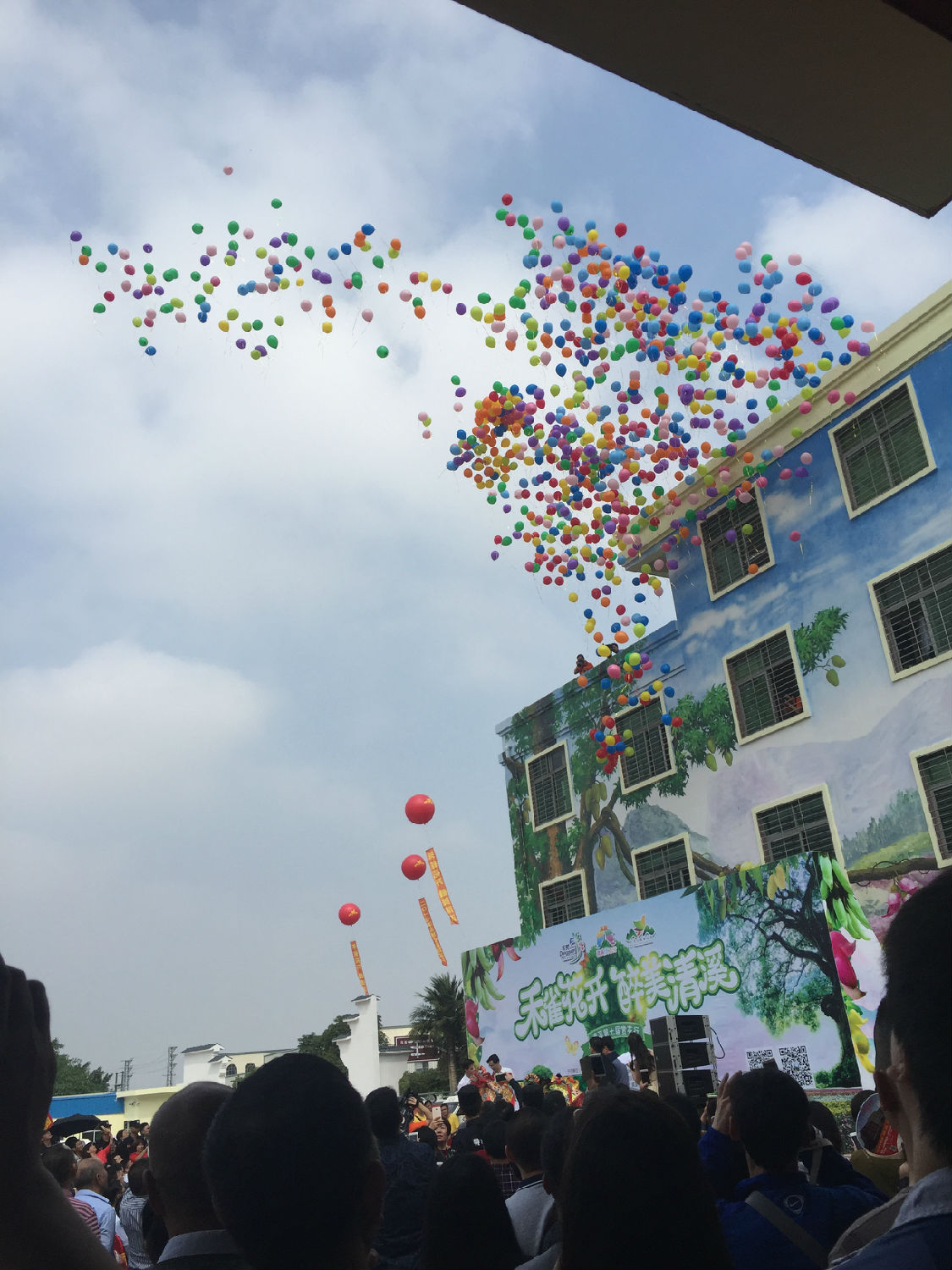 清溪禾雀花 清溪禾雀花