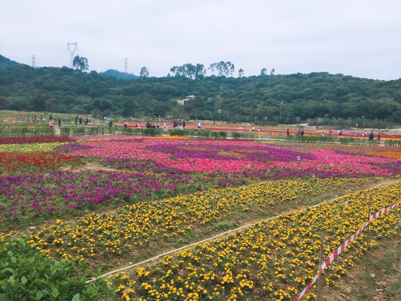 清溪大王山 清溪大王山