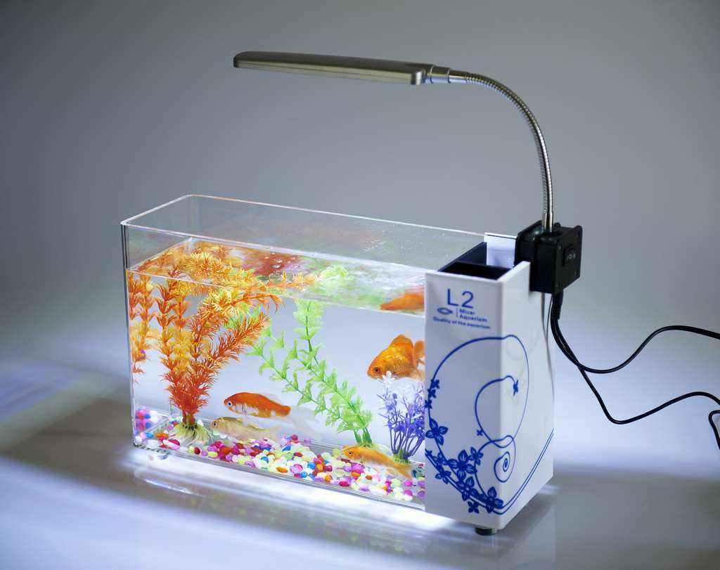 亞克力魚缸 亞克力魚缸