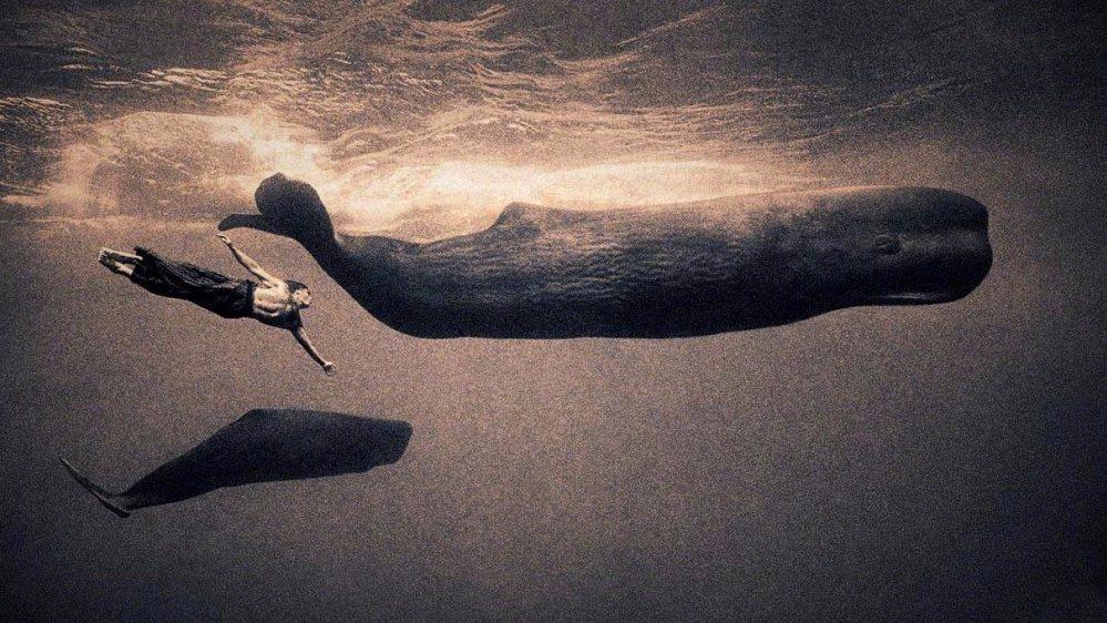 timg (1).jpg timg (1).jpg