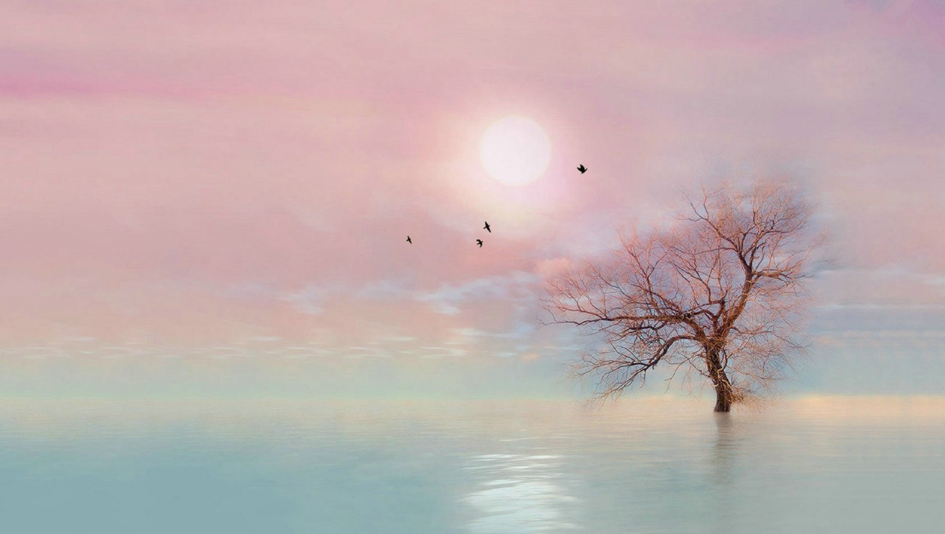 72eb213371fd74859ad6c574cf223070.jpg 72eb213371fd74859ad6c574cf223070.jpg