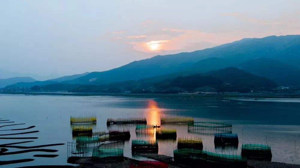 timg (3).jpg timg (3).jpg