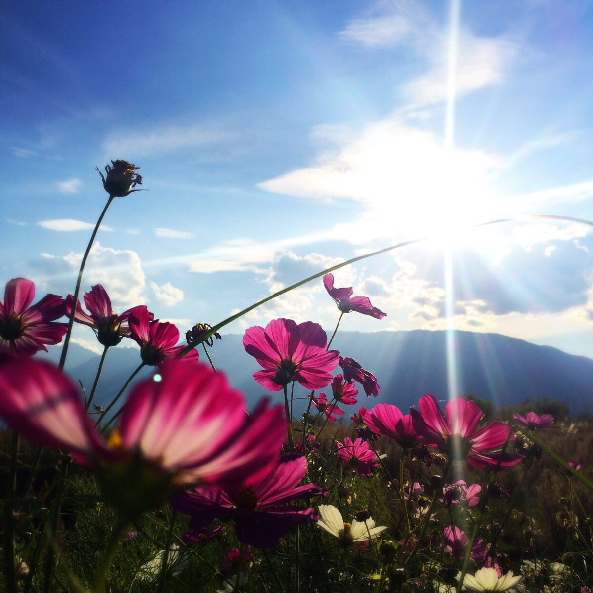 timg (1).jpg timg (1).jpg