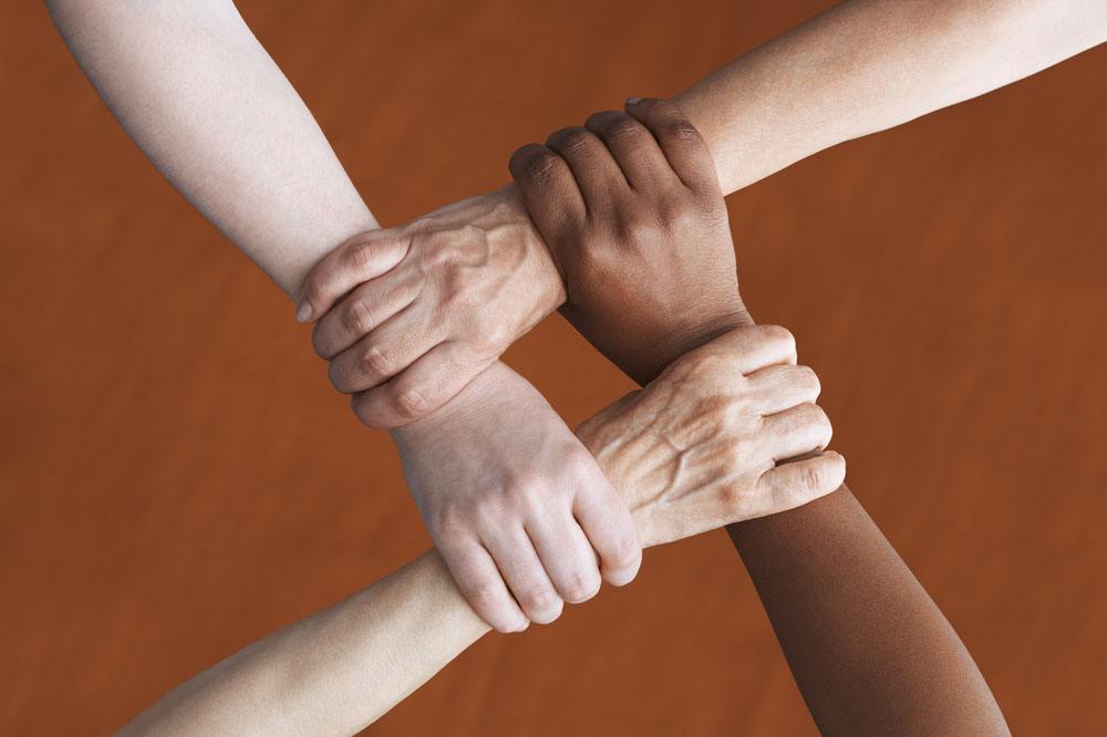 timg (2).jpg timg (2).jpg