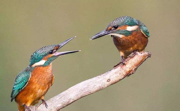 src=http___www.snzjzx.com_uploads_allimg_191018_161245Y45_0.jpg&refer=http___www.snzjzx.jpg src=http___www.snzjzx.com_uploads_allimg_191018_161245Y45_0.jpg&refer=http___www.snzjzx.jpg