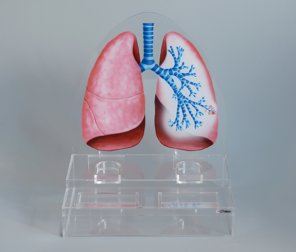 DSC_6272.jpg DSC_6272.jpg